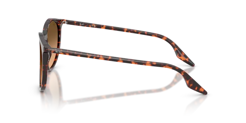 Ray - Ban Unisex RB2204 14293B Occhiali da sole Acetato Rosso Marrone Pantos Normale Sfumato miniatura 3