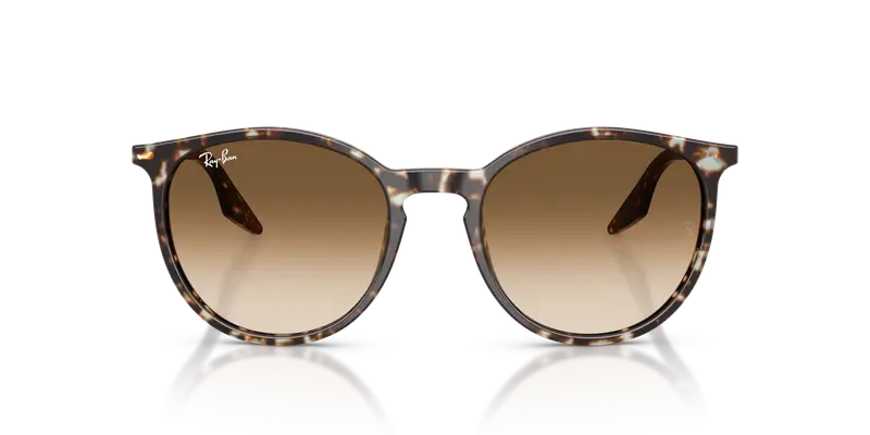 Ray - Ban Unisex RB2204 143151 Occhiali da sole Acetato Giallo Marrone Pantos Normale Sfumato miniatura 2