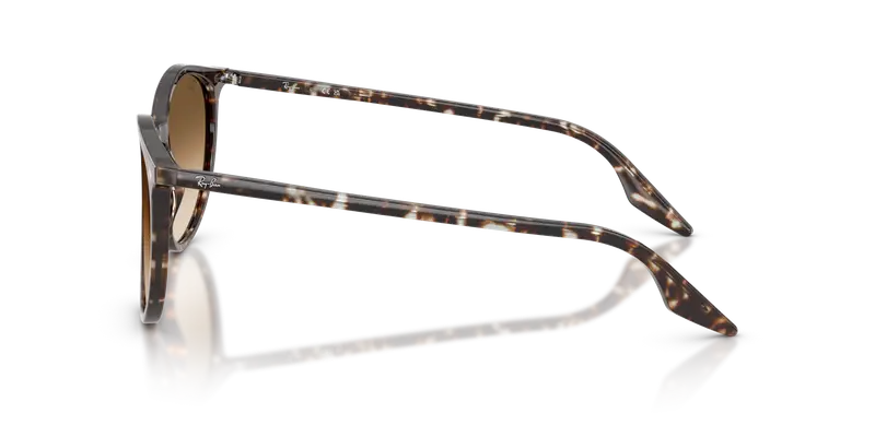 Ray - Ban Unisex RB2204 143151 Occhiali da sole Acetato Giallo Marrone Pantos Normale Sfumato miniatura 3