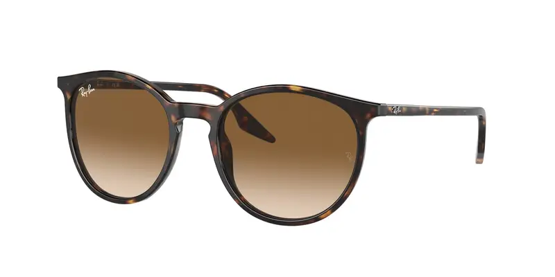 Ray - Ban Unisex RB2204  902/51 Occhiali da sole Acetato Tartaruga Marrone Pantos Normale Sfumato