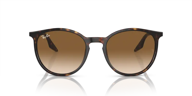 Ray - Ban Unisex RB2204 902/51 Occhiali da sole Acetato Tartaruga Marrone Pantos Normale Sfumato miniatura 2