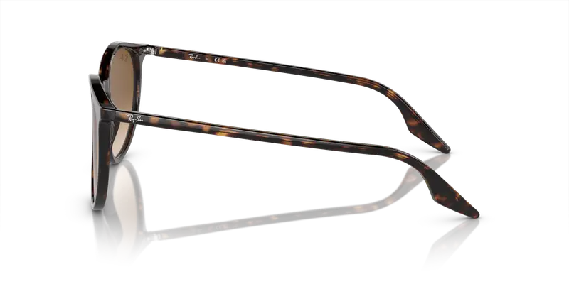 Ray - Ban Unisex RB2204 902/51 Occhiali da sole Acetato Tartaruga Marrone Pantos Normale Sfumato miniatura 3