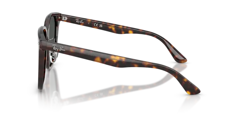 Ray - Ban Unisex RB2206D 710/87 Occhiali da sole Acetato Tartaruga Grigio Squadrata Normale miniatura 3