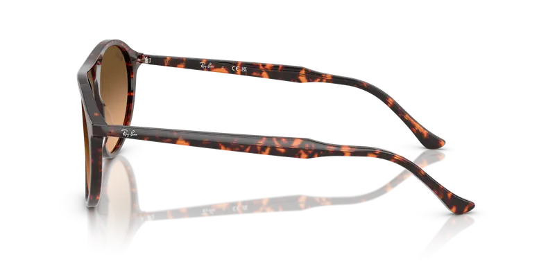 Ray - Ban Unisex RB2215 14293B Occhiali da sole Acetato Rosso Marrone Squadrata Normale Sfumato miniatura 3