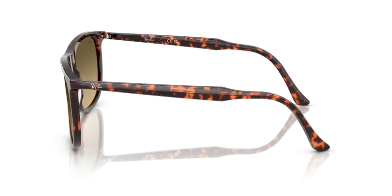 Ray - Ban Unisex RB2216 14290A Occhiali da sole Acetato Marrone Squadrata Normale Sfumato miniatura 3