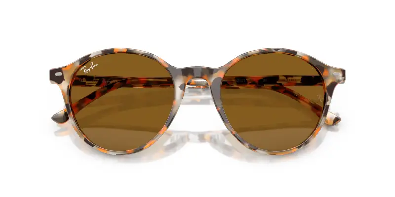 Unisex RB2230 BERNARD 135733 Occhiali da sole Acetato Grigio Marrone Pantos Normale miniatura 2