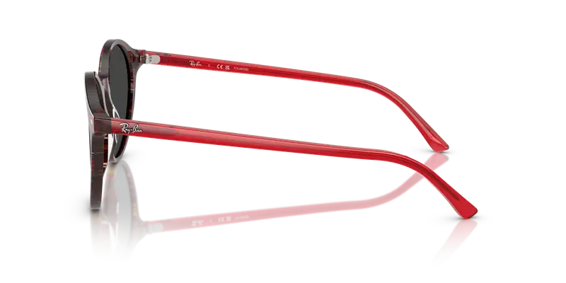 Ray - Ban Unisex RB2230 BERNARD 141948 Occhiali da sole Acetato Multi-colore Grigio Pantos Polarizzata miniatura 3