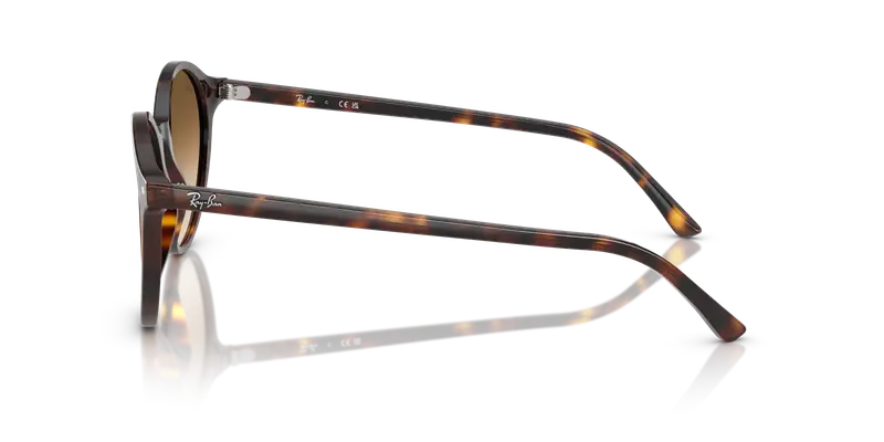 Ray - Ban Unisex RB2230 BERNARD 902/51 Occhiali da sole Acetato Tartaruga Marrone Pantos Normale Sfumato miniatura 3