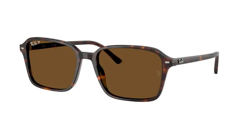 Unisex RB2231 RAIMOND 902/57 Occhiali da sole Acetato Tartaruga Marrone Squadrata Polarizzata