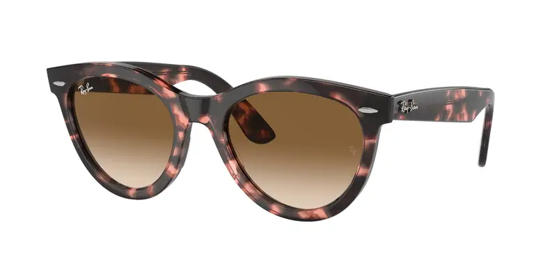 Ray - Ban Unisex RB2241 WAYFARER WAY 133451 Occhiali da sole Acetato Tartaruga Marrone Rotonda Normale Sfumato