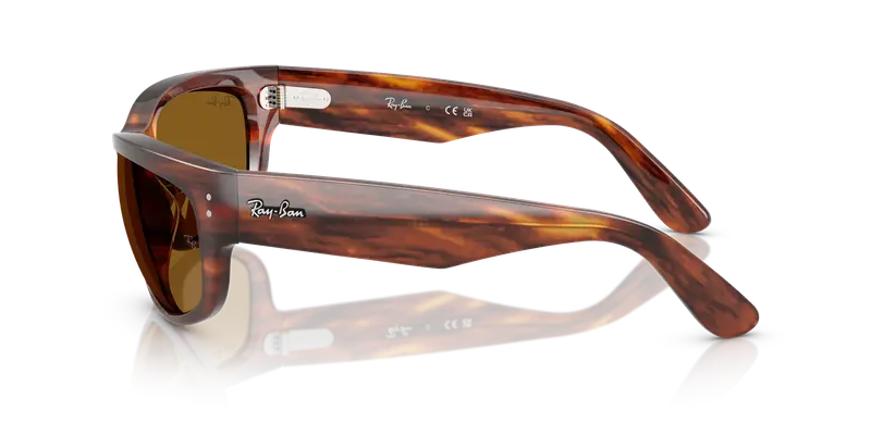 Ray - Ban Unisex RB2289 MEGA BALORAMA 954/33 Occhiali da sole Acetato Marrone Marrone Pillow Normale miniatura 3