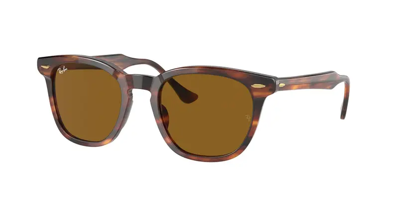 Ray - Ban Unisex RB2298 HAWKEYE 954/33 Occhiali da sole Acetato Marrone Marrone Squadrata Normale