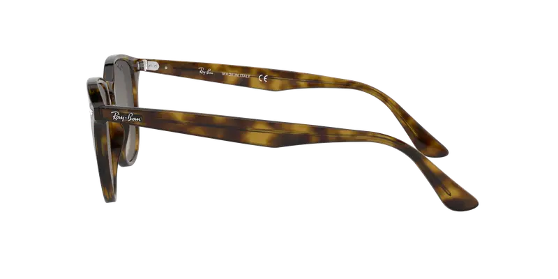 Ray - Ban Unisex RB4259 710/11 Occhiali da sole Iniettato Tartaruga Grigio Pantos Normale Sfumato miniatura 2