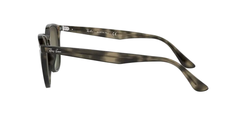 Ray - Ban Unisex RB4259 731/E8 Occhiali da sole Iniettato Tartaruga Marrone Pantos Normale Sfumato miniatura 2