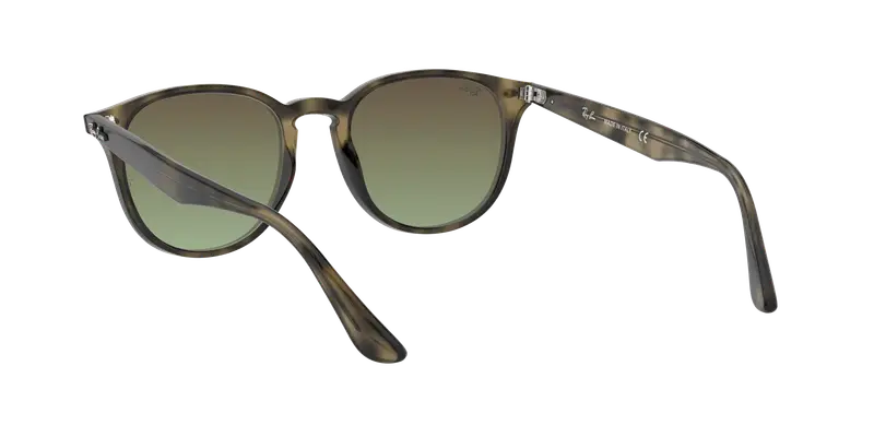 Ray - Ban Unisex RB4259 731/E8 Occhiali da sole Iniettato Tartaruga Marrone Pantos Normale Sfumato miniatura 3