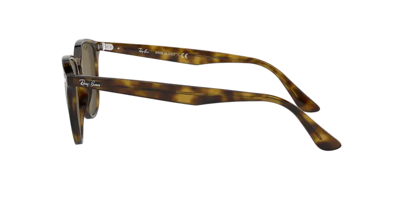 Ray - Ban Unisex RB4259F 710/73 Occhiali da sole Acetato Tartaruga Marrone Pantos Normale miniatura 2