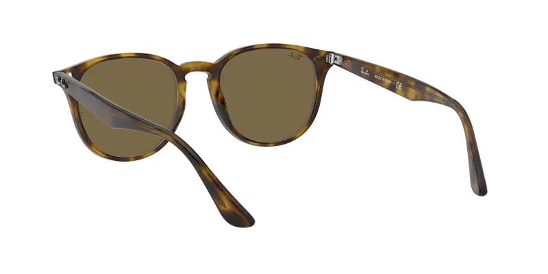 Ray - Ban Unisex RB4259F 710/73 Occhiali da sole Acetato Tartaruga Marrone Pantos Normale miniatura 3