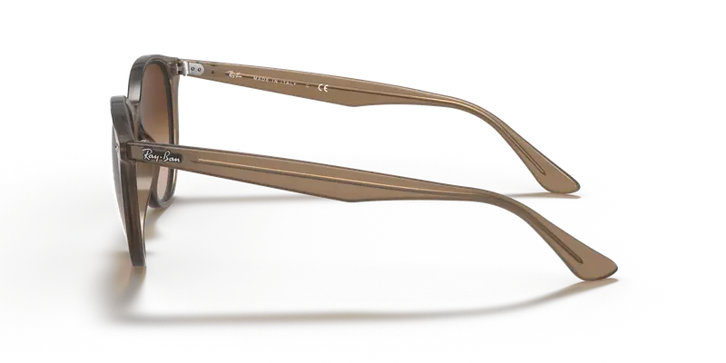 Ray - Ban Unisex RB4305 616613 Occhiali da sole Iniettato Beige Marrone Pantos Normale Sfumato miniatura 3