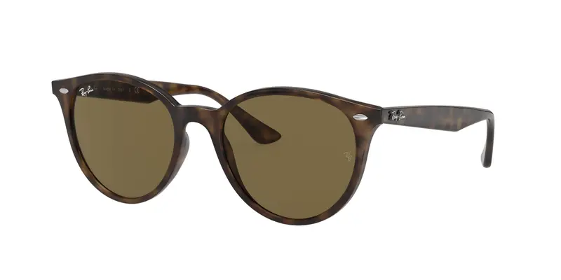 Ray - Ban Unisex RB4305 710/73 Occhiali da sole Acetato Tartaruga Marrone Pantos Normale