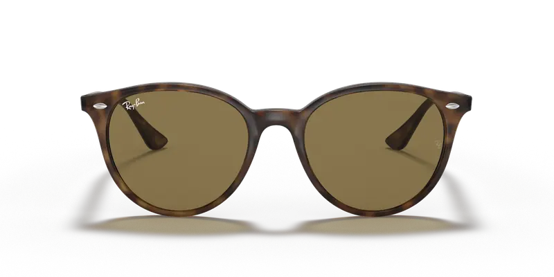 Ray - Ban Unisex RB4305 710/73 Occhiali da sole Acetato Tartaruga Marrone Pantos Normale miniatura 2