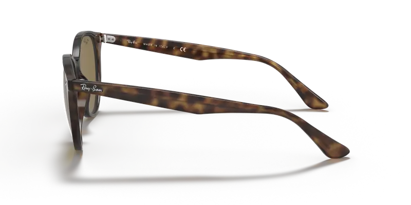 Ray - Ban Unisex RB4305 710/73 Occhiali da sole Acetato Tartaruga Marrone Pantos Normale miniatura 3