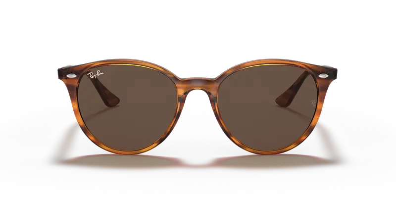 Ray - Ban Unisex RB4305 820/73 Occhiali da sole Iniettato Rosso Marrone Pantos Normale miniatura 2
