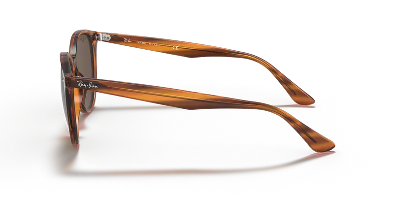 Ray - Ban Unisex RB4305 820/73 Occhiali da sole Iniettato Rosso Marrone Pantos Normale miniatura 3