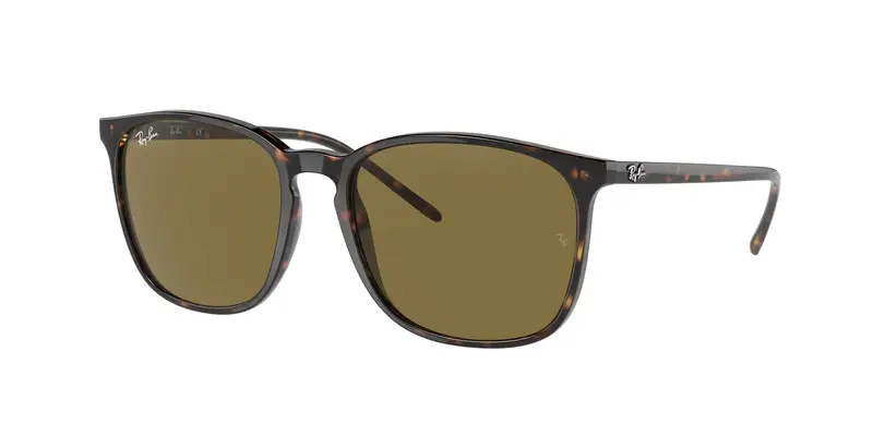 Ray - Ban Unisex RB4387F 902/73 Occhiali da sole Acetato Tartaruga Marrone Squadrata Normale