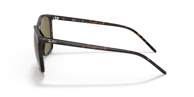 Ray - Ban Unisex RB4387F 902/73 Occhiali da sole Acetato Tartaruga Marrone Squadrata Normale miniatura 3