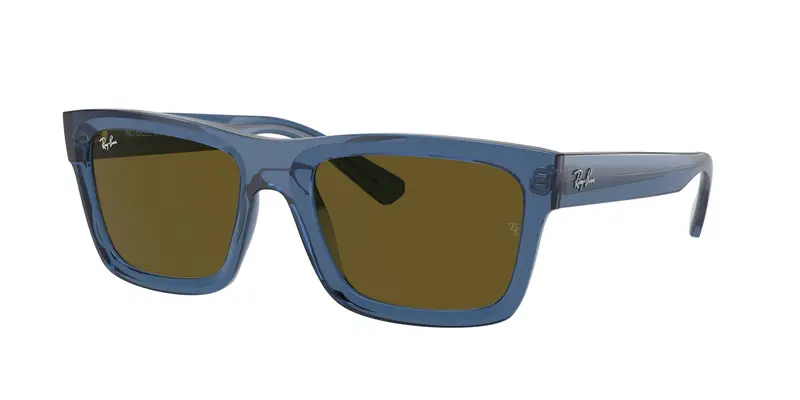 Ray - Ban Unisex RB4396 WARREN 668073 Occhiali da sole Acetato Blu Marrone Squadrata Normale