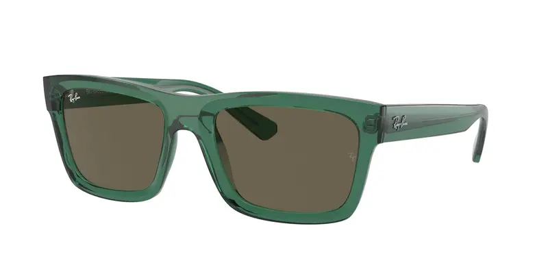 Ray - Ban Unisex RB4396 WARREN 6681/3 Occhiali da sole Acetato Verde Marrone Squadrata Normale