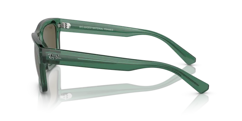 Ray - Ban Unisex RB4396 WARREN 6681/3 Occhiali da sole Acetato Verde Marrone Squadrata Normale miniatura 3