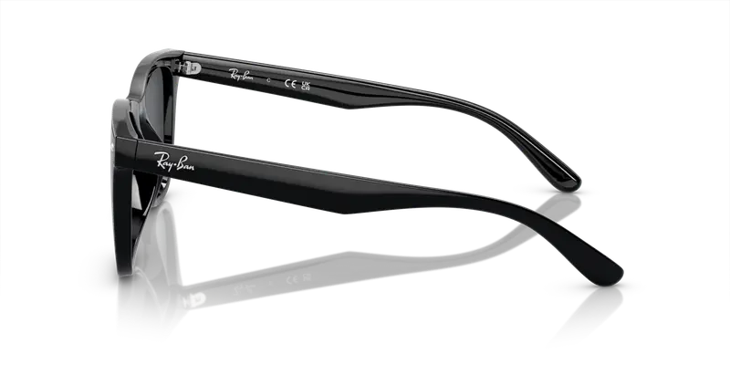 Ray - Ban Unisex RB4420 601/87 Occhiali da sole Iniettato Nero Grigio Squadrata Normale miniatura 3