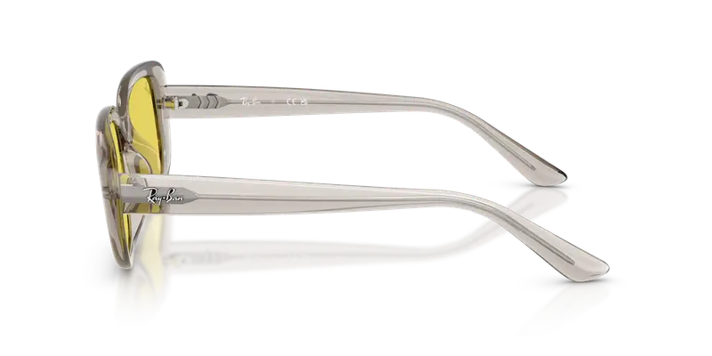 Ray - Ban Unisex RB4421D 681885 Occhiali da sole Iniettato Marrone Giallo Pillow Normale miniatura 3