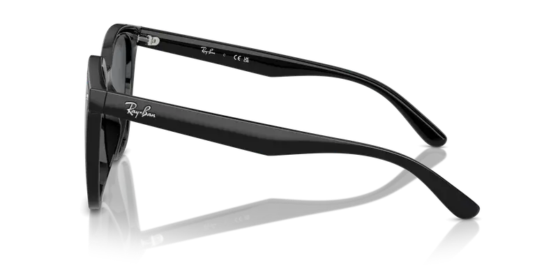 Ray - Ban Unisex RB4423D 601/87 Occhiali da sole Iniettato Nero Grigio Squadrata Normale miniatura 3