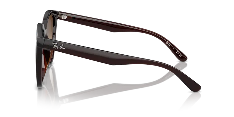 Ray - Ban Unisex RB4423D 714/13 Occhiali da sole Iniettato Marrone Marrone Squadrata Normale Sfumato miniatura 3