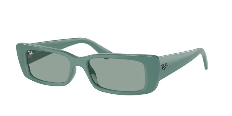 Ray - Ban Unisex RB4425 TERU 676282 Occhiali da sole Iniettato Verde Verde Squadrata Normale