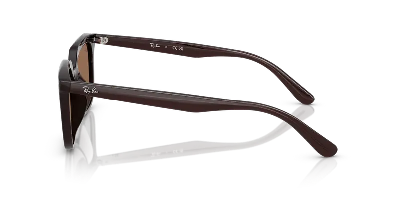 Ray - Ban Unisex RB4439D 623173 Occhiali da sole Acetato Marrone Marrone Squadrata Normale miniatura 3