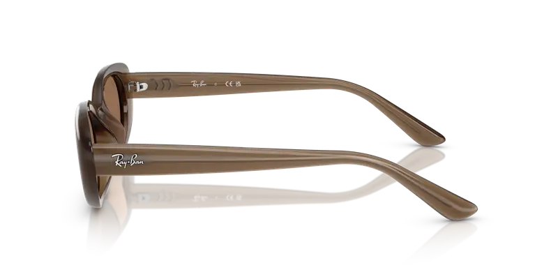 Ray - Ban Unisex RB4441D 677973 Occhiali da sole Iniettato Marrone Grigio Pillow Normale miniatura 3