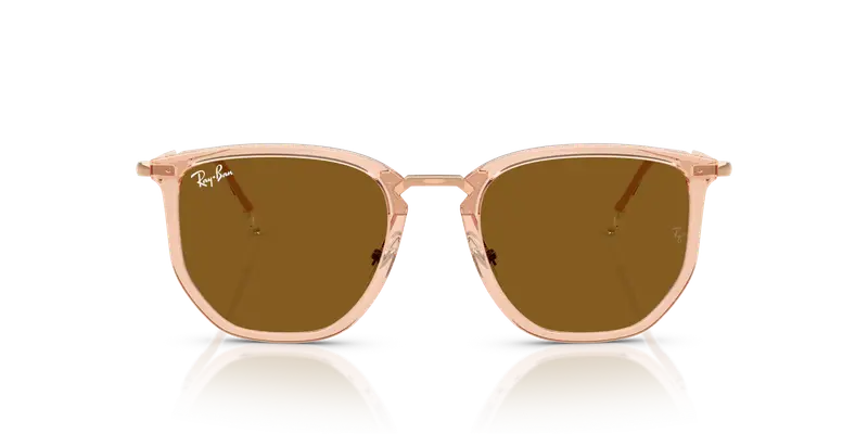 Ray - Ban Unisex RB4451 680133 Occhiali da sole Nylon Marrone Marrone Geometrica Normale miniatura 2
