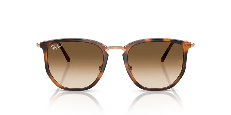 Ray - Ban Unisex RB4451 680451 Occhiali da sole Nylon Arancione Marrone Geometrica Normale Sfumato miniatura 2
