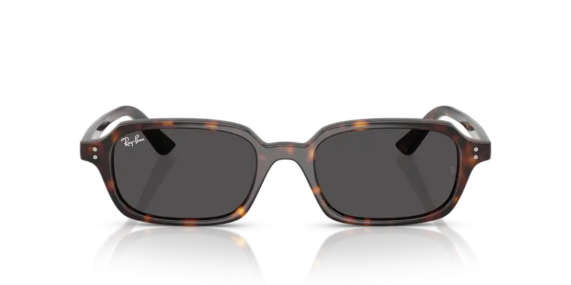 Ray - Ban Unisex RB4455 ZURI 135987 Occhiali da sole Iniettato Tartaruga Grigio Pillow Normale miniatura 2