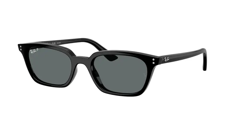 Ray - Ban Unisex RB4456 ZAYA 667781 Occhiali da sole Iniettato Nero Grigio Pillow Polarizzata