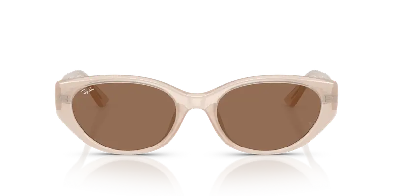 Ray - Ban Unisex RB4457D 678673 Occhiali da sole Iniettato Marrone Marrone Pillow Normale miniatura 2