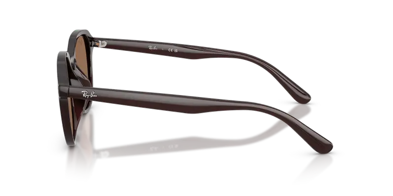 Ray - Ban Unisex RB4459D 623173 Occhiali da sole Acetato Marrone Marrone Squadrata Normale miniatura 3