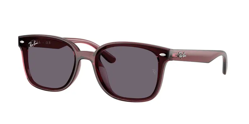 Ray - Ban Unisex RB4461D 659373 Occhiali da sole Nylon Marrone Viola Squadrata Normale