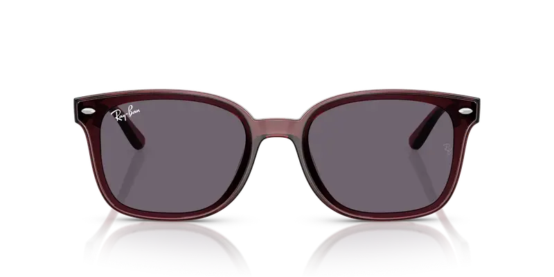 Ray - Ban Unisex RB4461D 659373 Occhiali da sole Nylon Marrone Viola Squadrata Normale miniatura 2