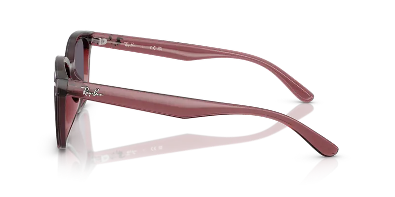 Ray - Ban Unisex RB4461D 659373 Occhiali da sole Nylon Marrone Viola Squadrata Normale miniatura 3