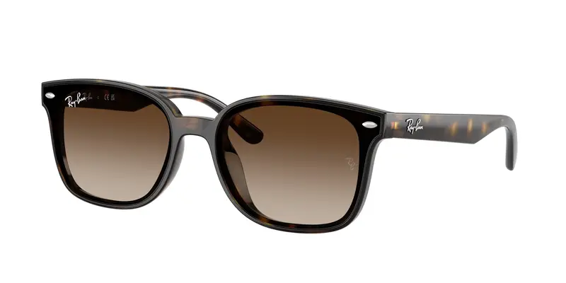 Ray - Ban Unisex RB4461D 710/13 Occhiali da sole Nylon Tartaruga Marrone Squadrata Normale Sfumato