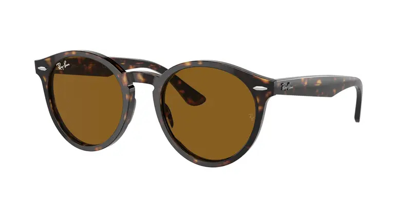 Ray - Ban Unisex RB7680S LARRY 902/33 Occhiali da sole Acetato Tartaruga Marrone Pantos Normale